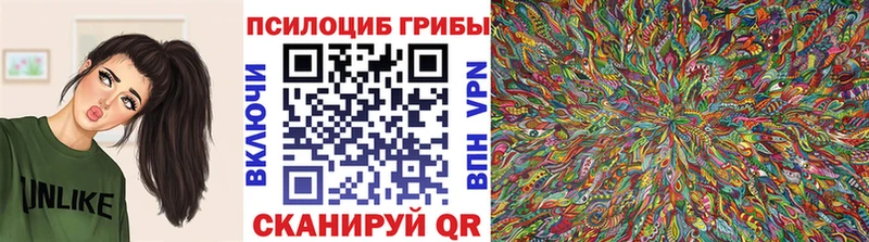 наркошоп  MEGA сайт  Галлюциногенные грибы Magic Shrooms  Ильский 